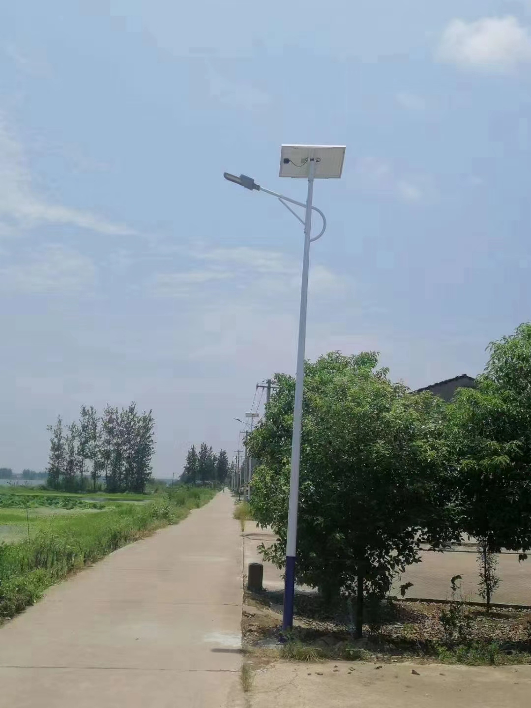 太阳能路灯